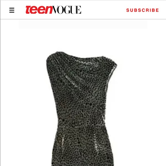 Brand New J. Crew Velvet Leopard Dress - Picture 6 of 6